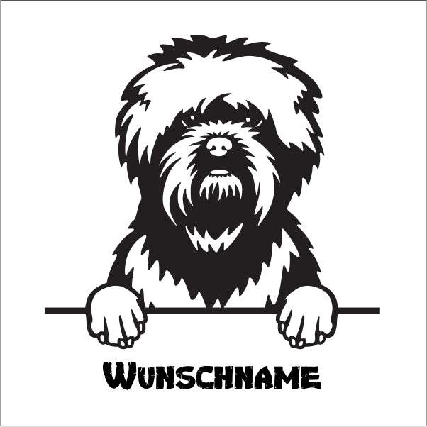 aufkleber-affenpinscher-hund