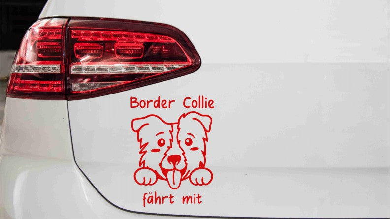 aufkleber-border-collie-faehrt-mit-rot