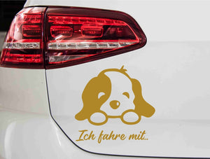 aufkleber-hund-ich-fahre-mit-gold