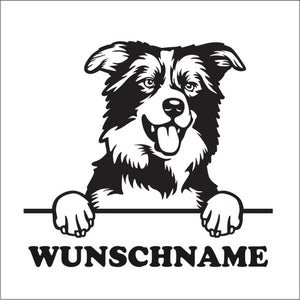 aufkleber-border-collie-wunschname