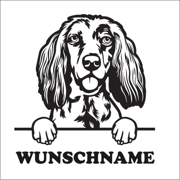 english-setter-wunschname