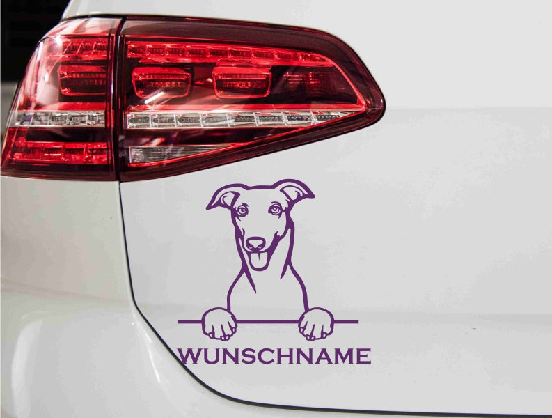 aufkleber-portrait-greyhound-violett