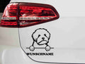 aufkleber-portrait-maltipoo-schwarz