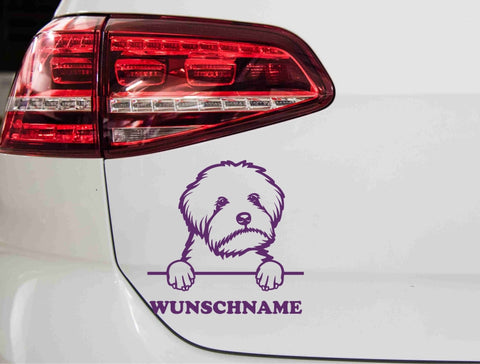 aufkleber-portrait-maltipoo-violett