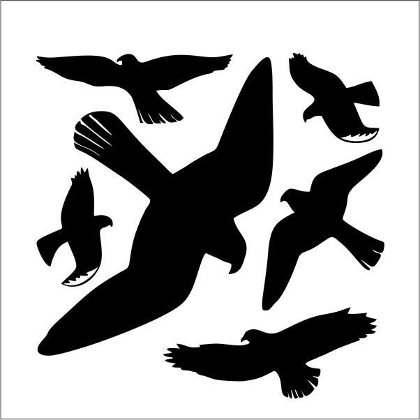 aufkleber-vogelschutz-raubvogel