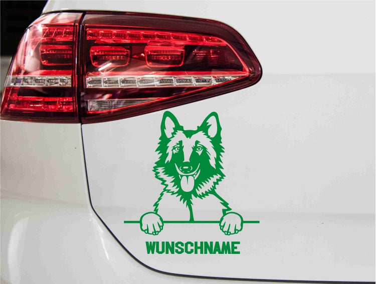 belgischer-tervueren-schaeferhund-autoaufkleber-gruen