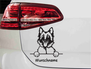 belgischer-tervueren-schaeferhund-autoaufkleber-schwarz