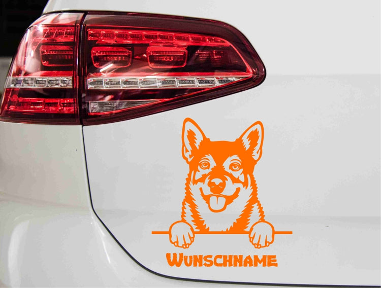 swedishvallhund-vaestgoetaspets-hund-mit-wunschname-orange