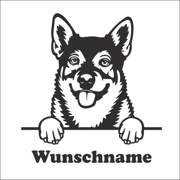 swedishvallhund-vaestgoetaspets-hund-mit-wunschname